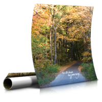 Posters - Large Format